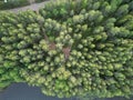 Aerial shot of a forest in the daylight in the countryside Royalty Free Stock Photo