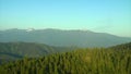 Aerial shot of forest and snowcapped mountains