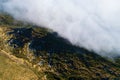 Aerial shot of a forested mountainside covered in a thick layer of fog during daytime
