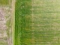 Aerial shot of green field, rural road, spring agricultural landscape, farmland, farming industry, top view Royalty Free Stock Photo