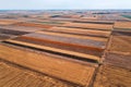 Aerial shot of harvest ready agricultural field, ripe crop plantation from drone pov