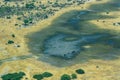 Aerial shot of a herd of African elephants near a pond in Botswana Safari.