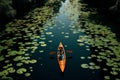 Aerial shot of kayaking in Rayongs lush lotus filled botanical garden