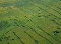 Aerial shot of lush green agricultural fields in Glamoc, Bosnia and Herzegovina