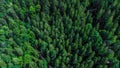 an aerial view of a beautiful green forest Royalty Free Stock Photo
