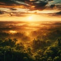 aerial shot of a lush green tropical rainforest