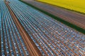 Aerial shot of mulching film plastic sheeting tunnel hothouse equipment on watermelon plantation from drone pov