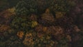 Aerial shot of orange-red forests at sunset in Slovak forests. Autumn fairy tale. Variety and colourfulness of nature Royalty Free Stock Photo