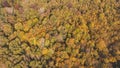 Aerial shot of orange-red forests at sunset in Slovak forests. Autumn fairy tale. Variety and colourfulness of nature Royalty Free Stock Photo