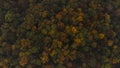 Aerial shot of orange-red and green forests at sunset in Slovak forests. Autumn fairy tale. Variety and colourfulness of nature Royalty Free Stock Photo