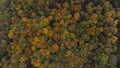 Aerial shot of orange-red and green forests at sunset in Slovak forests. Autumn fairy tale. Variety and colourfulness of nature Royalty Free Stock Photo