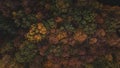 Aerial shot of orange-red and green forests at sunset in Slovak forests. Autumn fairy tale. Variety and colourfulness of nature Royalty Free Stock Photo