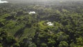 Aerial shot of palm trees Grove around small pond on Pemba island, Zanzibar archipelago. East Coast of Pemba island near