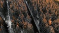 Aerial shot of a road between dense fir forest