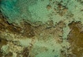 Aerial shot of the rock pools for snorkeling at Sharks Cove Hawaii Royalty Free Stock Photo