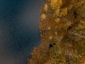 Aerial shot of the sea near a shore covered in yellow leafed trees