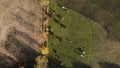 Aerial shot of sheep in a field in Hamaroy, Norway