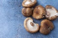 Aerial shot of shiitake mushrooms on gray background, with selective focus, horizontal