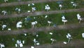 Aerial shot of solar powerplant destroyed by strong tornadic wind in Vlasatice, Czech Republic