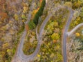 Aerial shot of spiral road surrounded by trees in La Crosse, Wisconsin