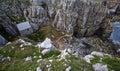 Aerial shot of st govan's chapel (tiny church) built on the cliff