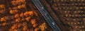 Aerial shot of three cars on the road through deciduous forest in fall, top down drone pov