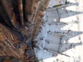 Aerial shot of tourists admirinng the Sagrada famÃÂ­lia temple in Spain, Barcelona