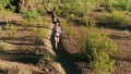 Aerial Shot of Trail Runners in Arizona Sonoran Desert Surrounded by Saguaros