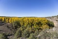 Aerial shot of trees in the Senda de la Vega park in Segovia, Spain Royalty Free Stock Photo