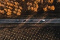 Aerial shot of truck, minivan and two cars on the road through forest in autumn, top down drone pov Royalty Free Stock Photo
