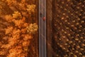 Aerial shot of two cars passing by each other on the road through deciduous forest in fall afternoon Royalty Free Stock Photo