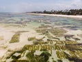 Aerial shot of Underwater seagrass Sea weed plantation. Jambiani, Zanzibar, Tanzania.