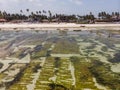 Aerial shot of Underwater seagrass Sea weed plantation. Jambiani, Zanzibar, Tanzania.