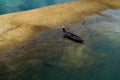 An aerial shot of a Vietnamese fisherwoman riding a wooden boat