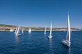 Aerial shot of the yacht race, a sailing regatta, intense competition, a lot of white sails, island is on background