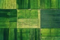 Aerial shots capturing the symmetry of agricultural fields