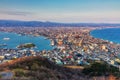 Aerial cityscape view from Mount Hakodate