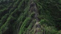 Aerial of Stairway to Heaven Hike on Hawaii