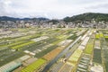 Aerial of the strawberry farm in the town of La Trinidad, Benguet, Philippines Royalty Free Stock Photo