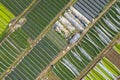 Aerial of the strawberry farm in the town of La Trinidad, Benguet, Philippines Royalty Free Stock Photo