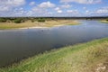 Aerial Of Swans Swimming In Wetlands Royalty Free Stock Photo