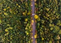 AERIAL, TOP DOWN: an asphalt road crossing the vast forest on a sunny summer day. Boulogne Forest Royalty Free Stock Photo