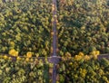 AERIAL, TOP DOWN: an asphalt road crossing the vast forest on a sunny summer day. Boulogne Forest Royalty Free Stock Photo