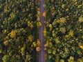 AERIAL, TOP DOWN: an asphalt road crossing the vast forest on a sunny summer day. Boulogne Forest Royalty Free Stock Photo