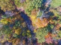 Aerial Top Down Autumn Forest and Stream in Hathaway Preserve, Indiana