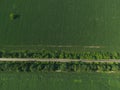 Aerial top down green field with crossing road