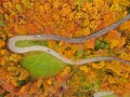 TOP DOWN: Cars driving down switchback road in the vivid fall colored woods. Royalty Free Stock Photo