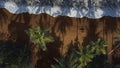 AERIAL, TOP DOWN: Surfer walking along sandy coast in the shadows of palm trees. Royalty Free Stock Photo