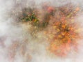 Aerial top-down view of autumn colored forest, fog, magic atmosphere. Beautiful colors Royalty Free Stock Photo