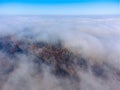 Aerial top-down view of autumn colored forest, fog, magic atmosphere. Beautiful colors Royalty Free Stock Photo